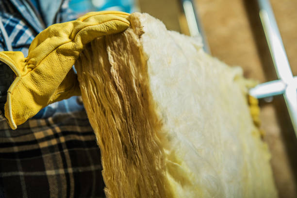 Best Insulation Installation Services in Way, NE
