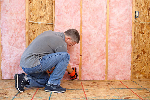 Best Insulation Maintenance and Repair in Way, NE